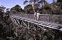 Tree Top Walk