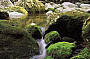 Cape Tribulation World Heritage Daintree Rainforest  depart Cairns and Cairns Beaches