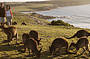Meet the locals