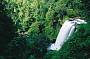 2 Day Great Barrier Reef & Waterfalls. Wildlife, Paronella Park tour