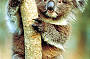 Caversham Wildlife Park