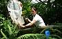 Grand Kuranda Experience (with Port Douglas pickup)