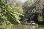 Grand Kuranda Experience (with Port Douglas pickup)